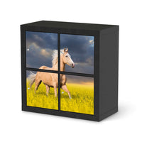 Klebefolie für Möbel Wildpferd - IKEA Kallax Regal 4 Türen - schwarz