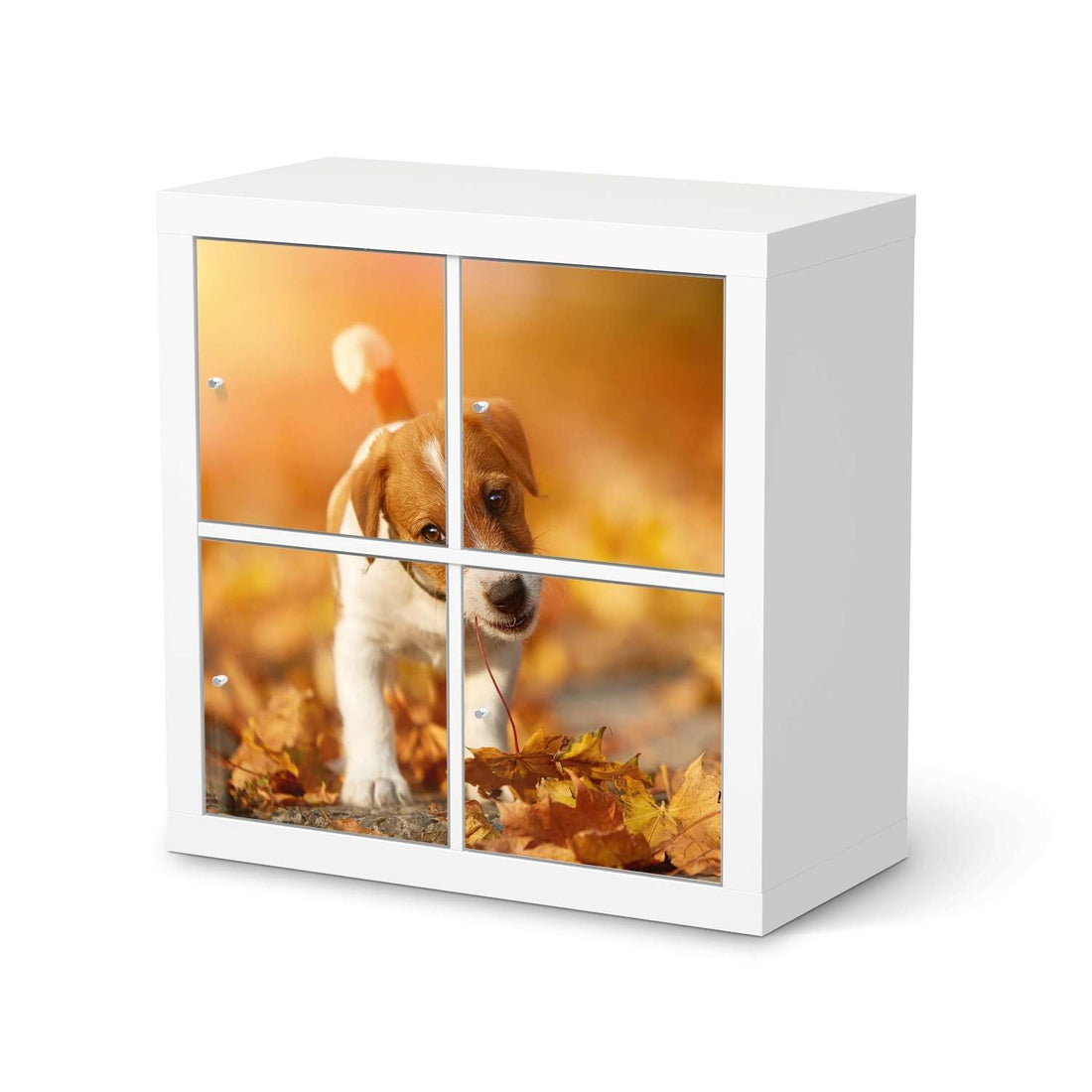 Klebefolie für Möbel Jack the Puppy - IKEA Kallax Regal 4 Türen  - weiss