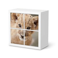 Klebefolie für Möbel Simba - IKEA Kallax Regal 4 Türen  - weiss