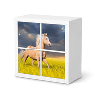 Klebefolie für Möbel Wildpferd - IKEA Kallax Regal 4 Türen  - weiss