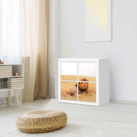 Klebefolie für Möbel Lion King - IKEA Kallax Regal 4 Türen - Wohnzimmer