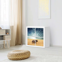 Klebefolie für Möbel Rhino - IKEA Kallax Regal 4 Türen - Wohnzimmer