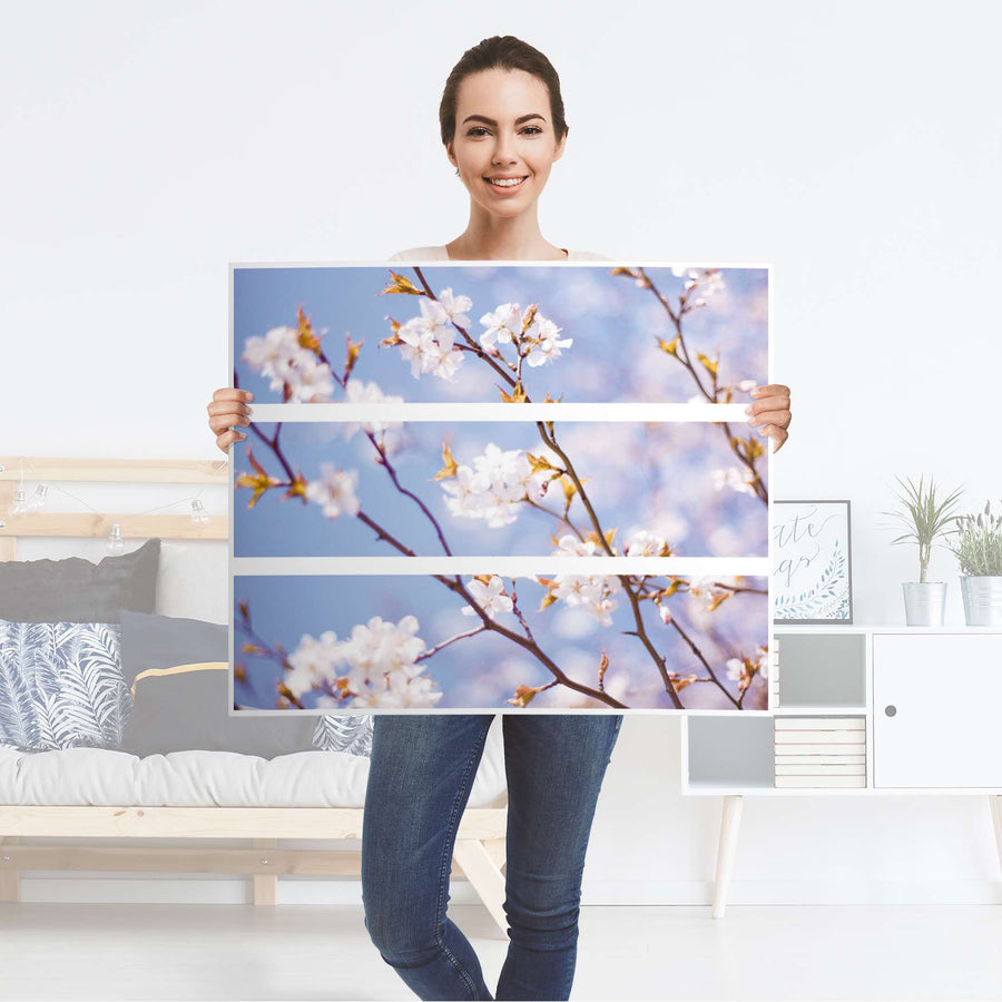 Klebefolie für Möbel Apple Blossoms - IKEA Malm Kommode 3 Schubladen - Folie