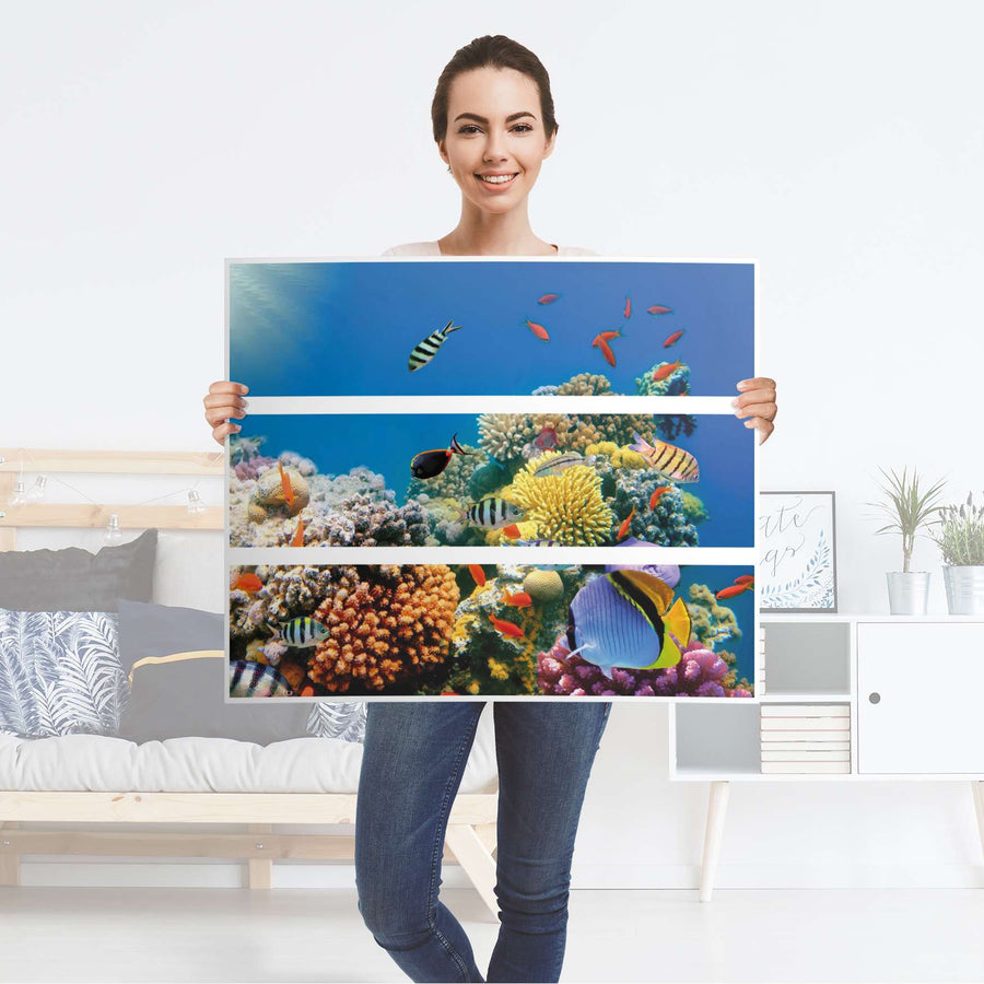 Klebefolie für Möbel Coral Reef - IKEA Malm Kommode 3 Schubladen - Folie