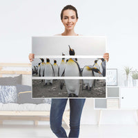 Klebefolie für Möbel Penguin Family - IKEA Malm Kommode 3 Schubladen - Folie