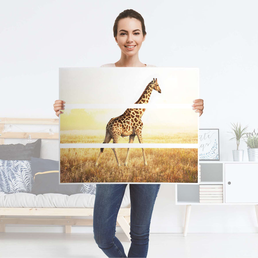 Klebefolie für Möbel Savanna Giraffe - IKEA Malm Kommode 3 Schubladen - Folie