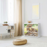 Klebefolie für Möbel Eulenbaum - IKEA Malm Kommode 3 Schubladen - Schlafzimmer