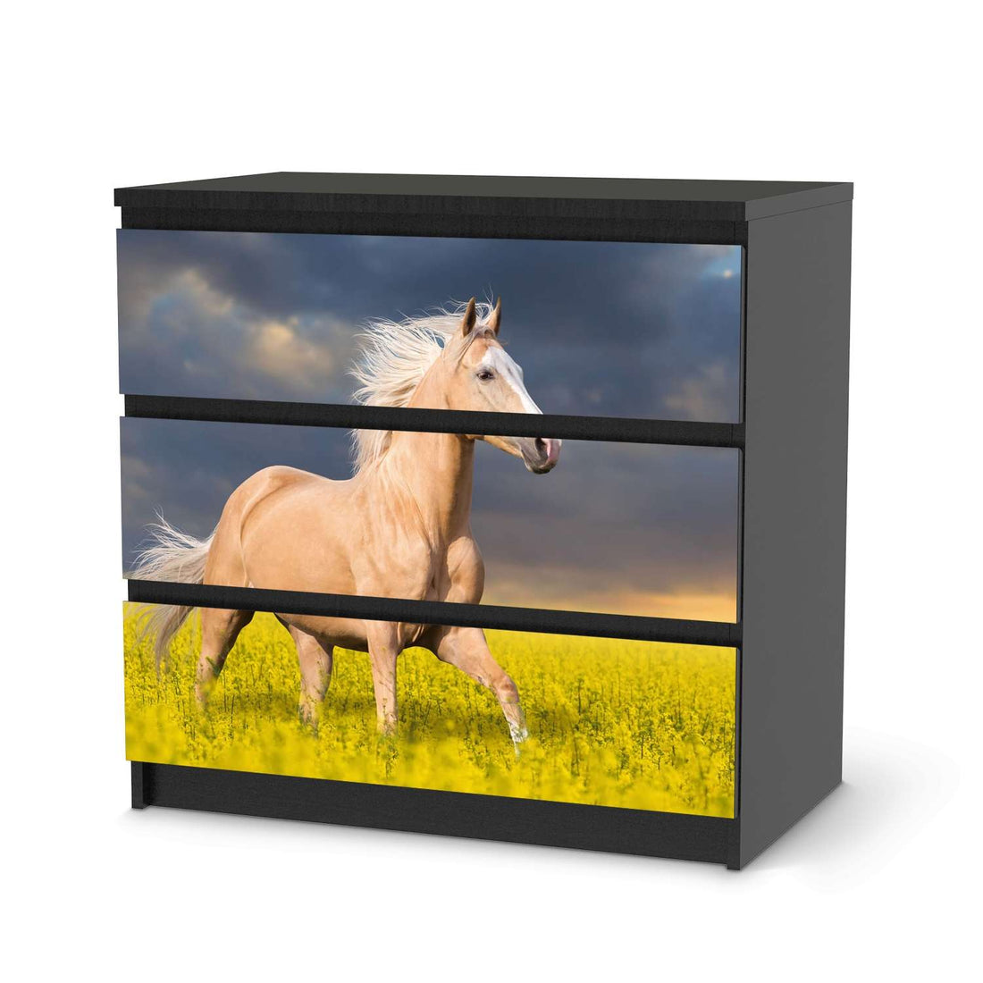 Klebefolie für Möbel Wildpferd - IKEA Malm Kommode 3 Schubladen - schwarz