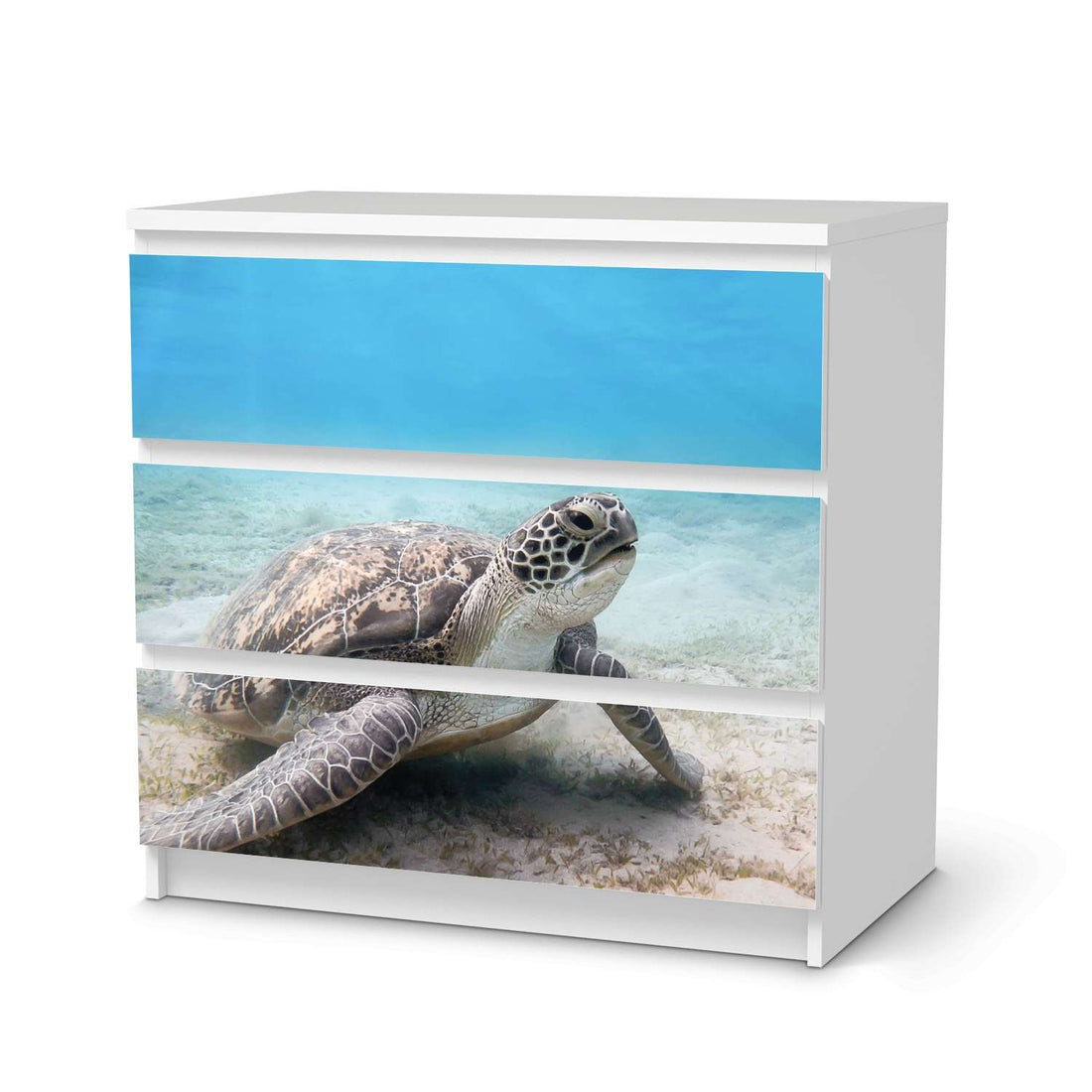 Fensterfolie [quer] - Green Sea Turtle – creatisto