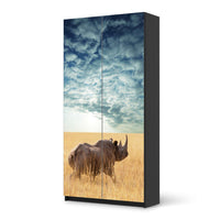 Klebefolie für Möbel Rhino - IKEA Pax Schrank 201 cm Höhe - 2 Türen - schwarz