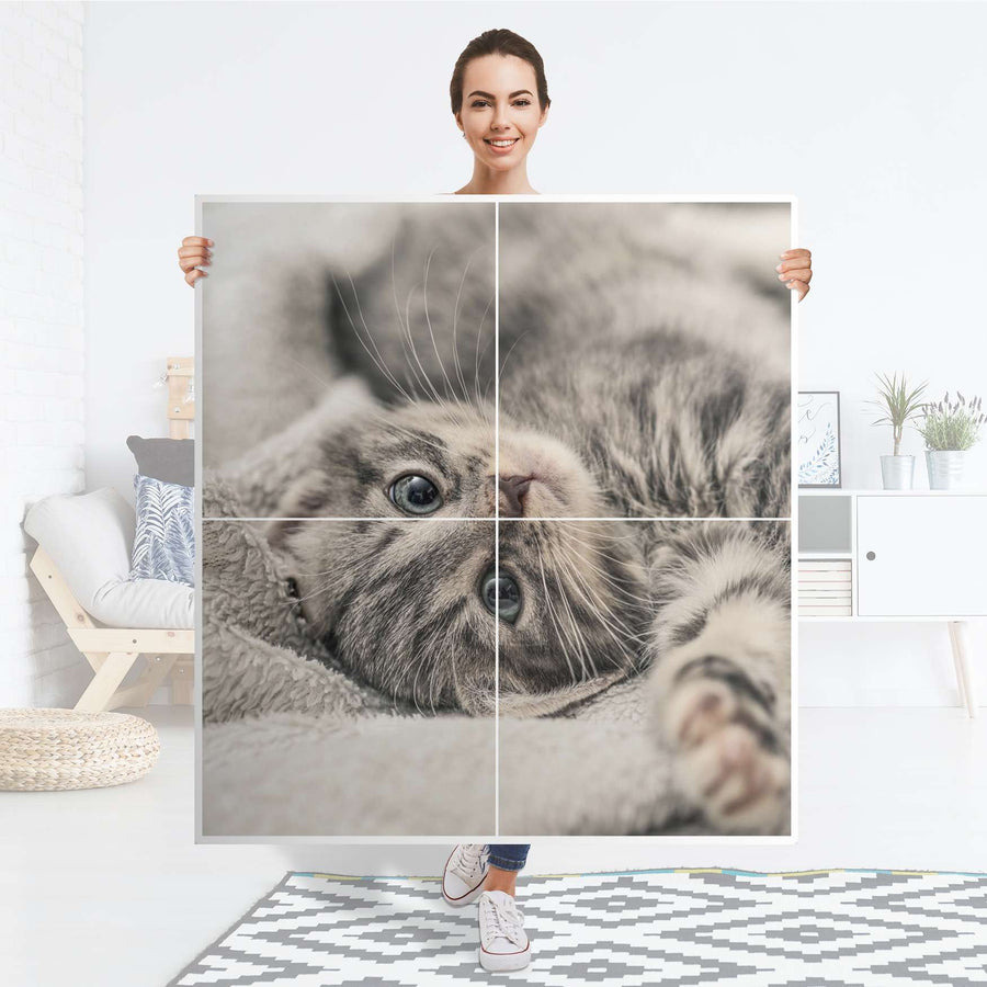 Klebefolie für Schränke Kitty the Cat - IKEA Besta Schrank Quadratisch 4 Türen - Folie
