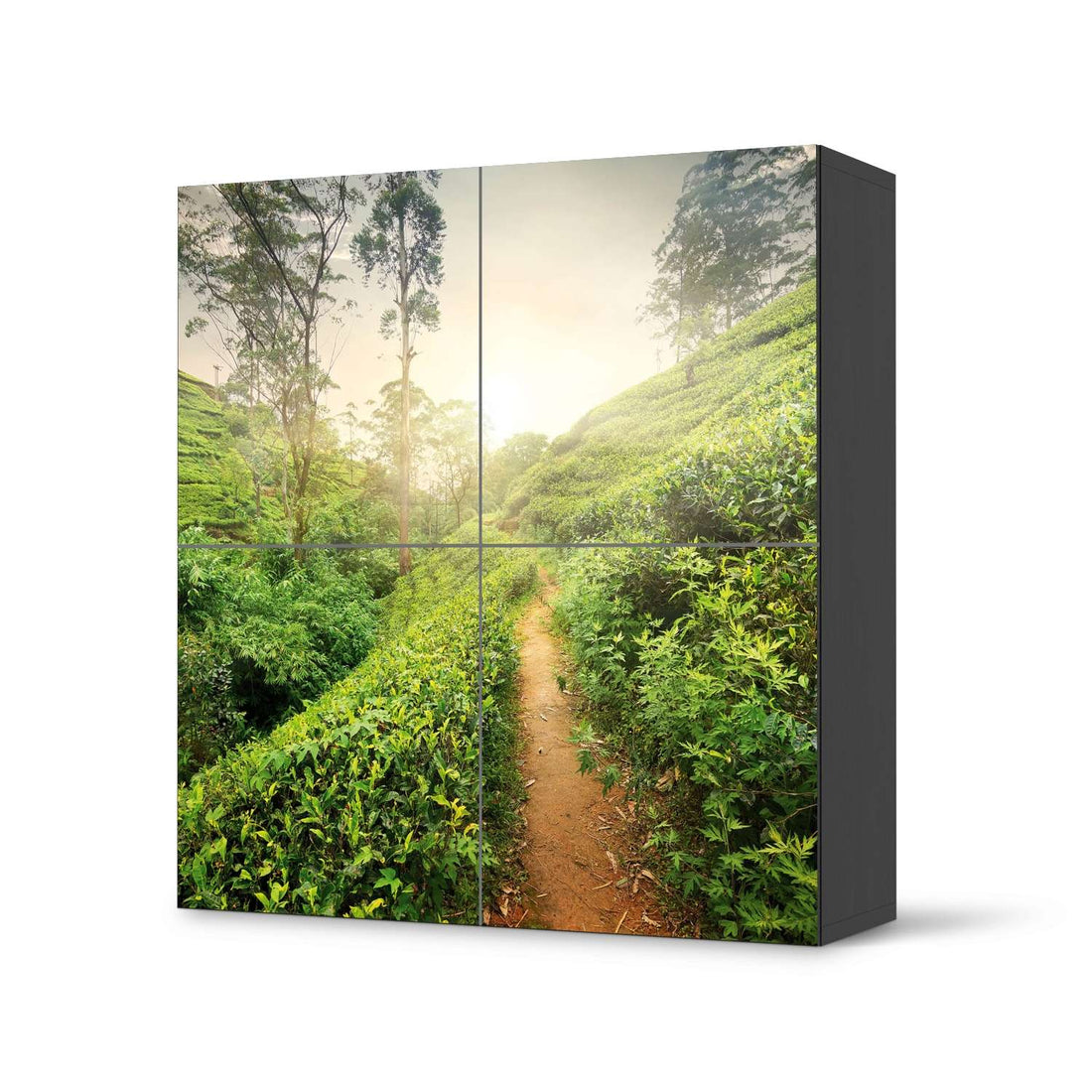 Klebefolie für Schränke Green Tea Fields - IKEA Besta Schrank Quadratisch 4 Türen - schwarz