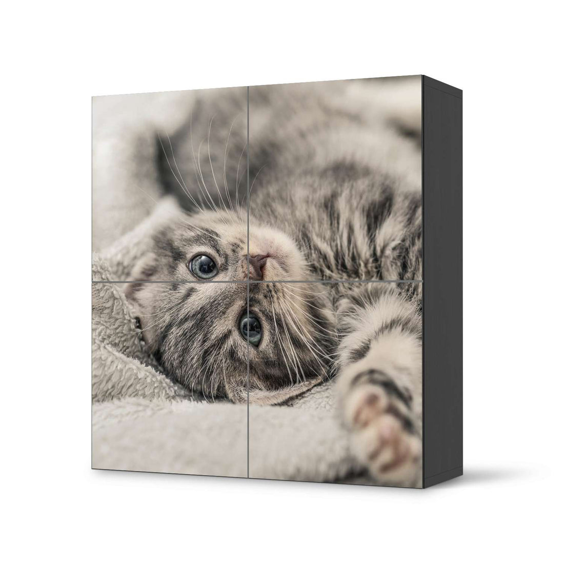Klebefolie für Schränke Kitty the Cat - IKEA Besta Schrank Quadratisch 4 Türen - schwarz