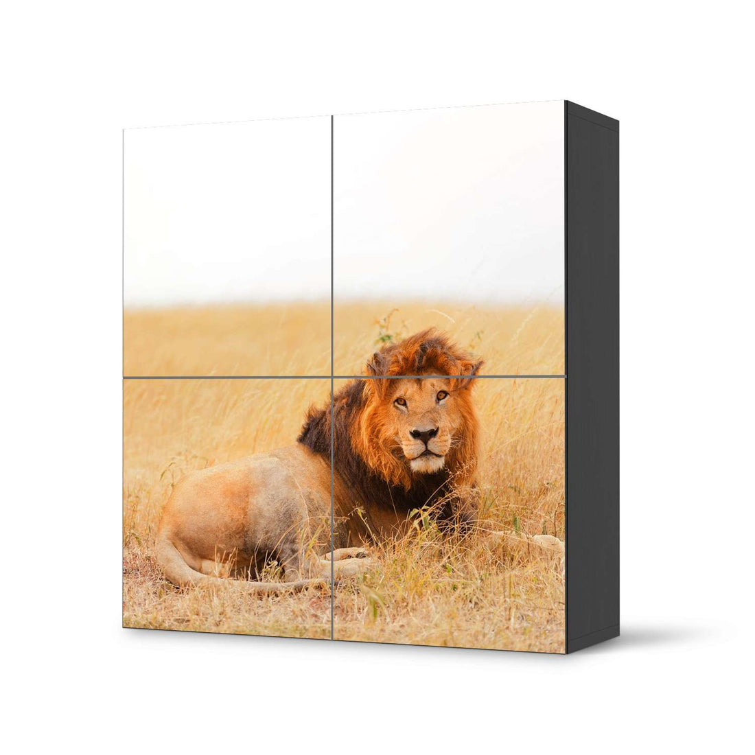 Klebefolie für Schränke Lion King - IKEA Besta Schrank Quadratisch 4 Türen - schwarz