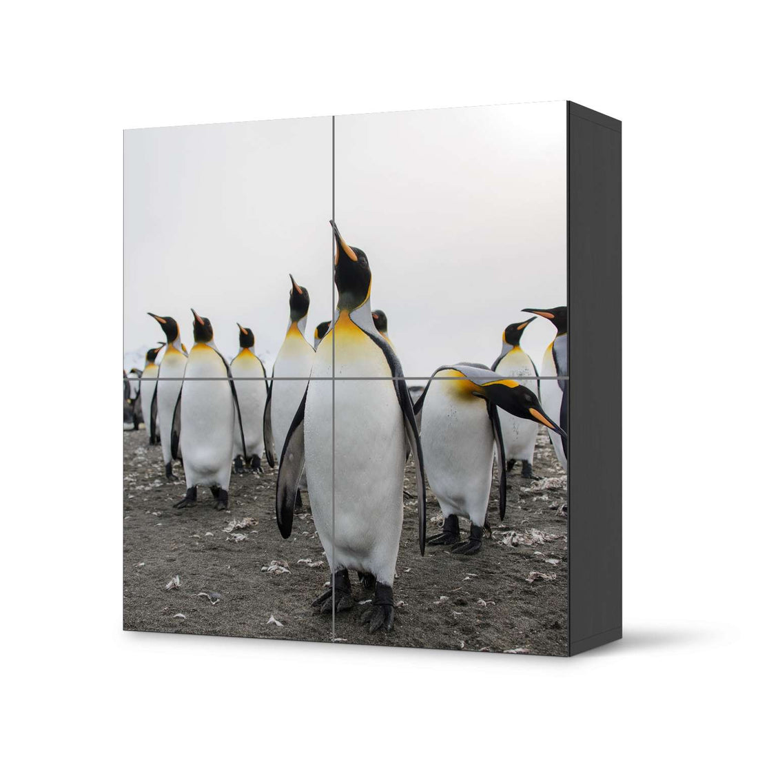 Klebefolie für Schränke Penguin Family - IKEA Besta Schrank Quadratisch 4 Türen - schwarz