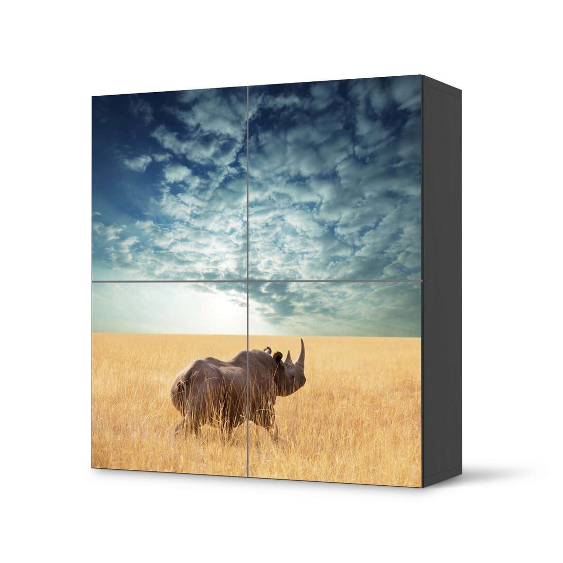 Klebefolie für Schränke Rhino - IKEA Besta Schrank Quadratisch 4 Türen - schwarz
