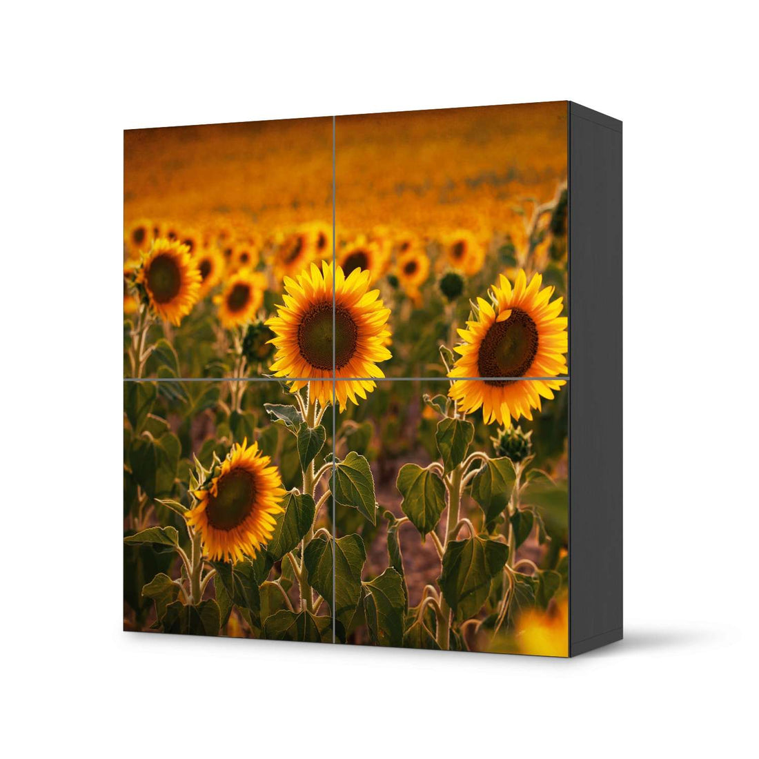 Klebefolie für Schränke Sunflowers - IKEA Besta Schrank Quadratisch 4 Türen - schwarz