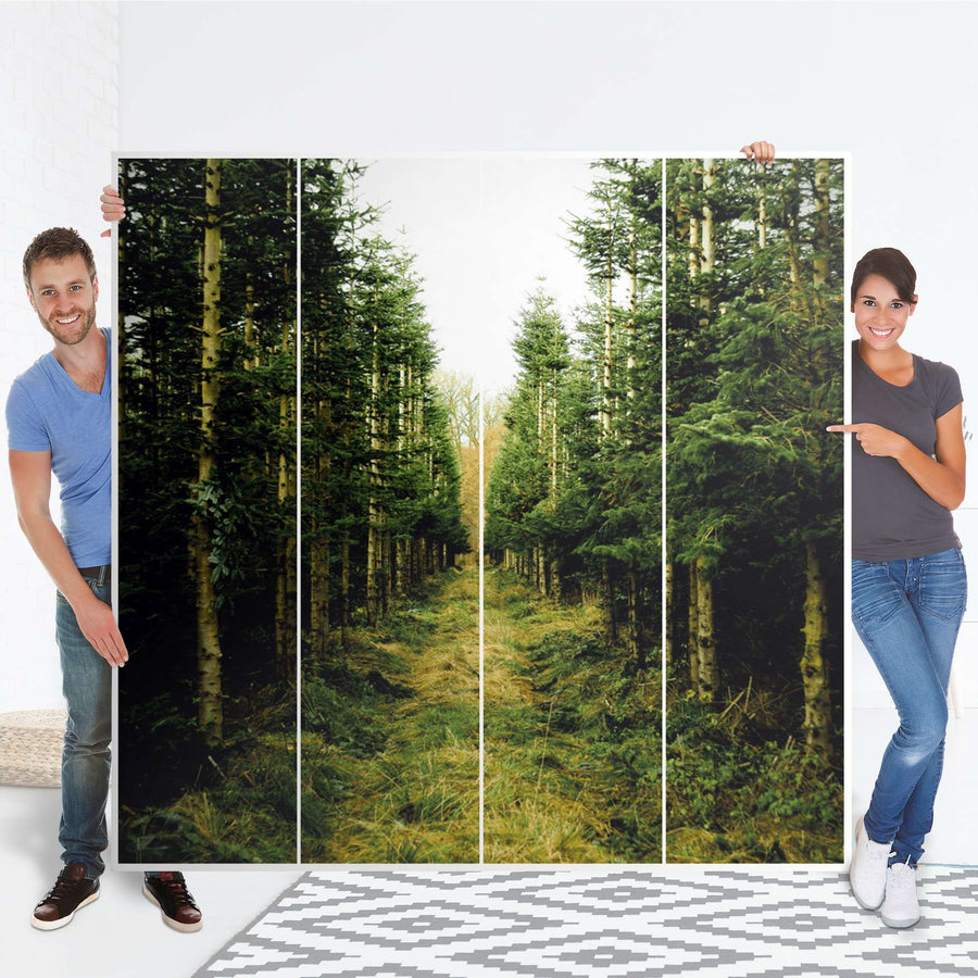 Klebefolie für Schränke Green Alley - IKEA Pax Schrank 201 cm Höhe - 4 Türen - Folie