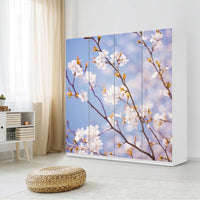 Klebefolie für Schränke Apple Blossoms - IKEA Pax Schrank 201 cm Höhe - 4 Türen - Schlafzimmer