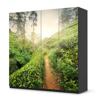 Klebefolie für Schränke Green Tea Fields - IKEA Pax Schrank 201 cm Höhe - 4 Türen - schwarz