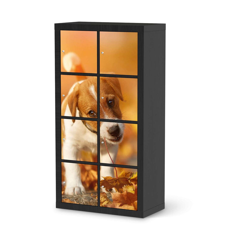 Klebefolie Jack the Puppy - IKEA Expedit Regal 8 Türen - schwarz
