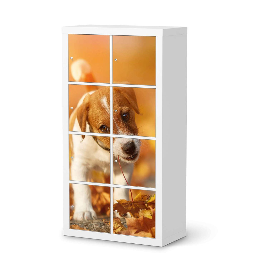Klebefolie Jack the Puppy - IKEA Expedit Regal 8 Türen  - weiss