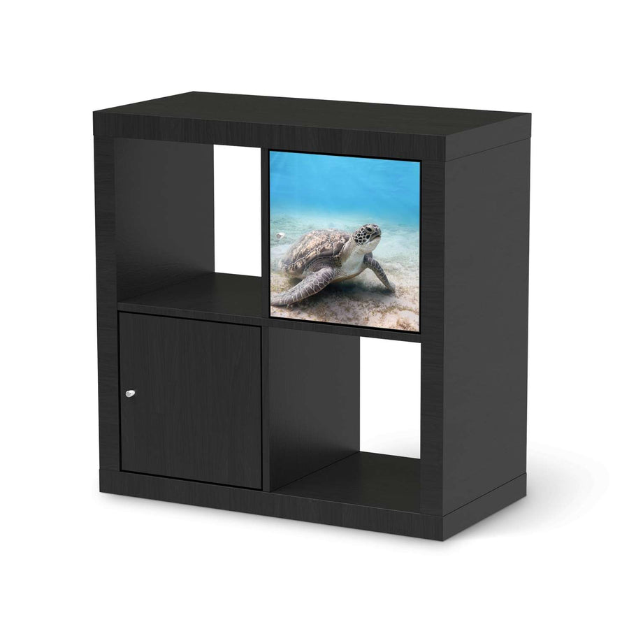 Klebefolie Green Sea Turtle - IKEA Expedit Regal Tür einzeln - schwarz