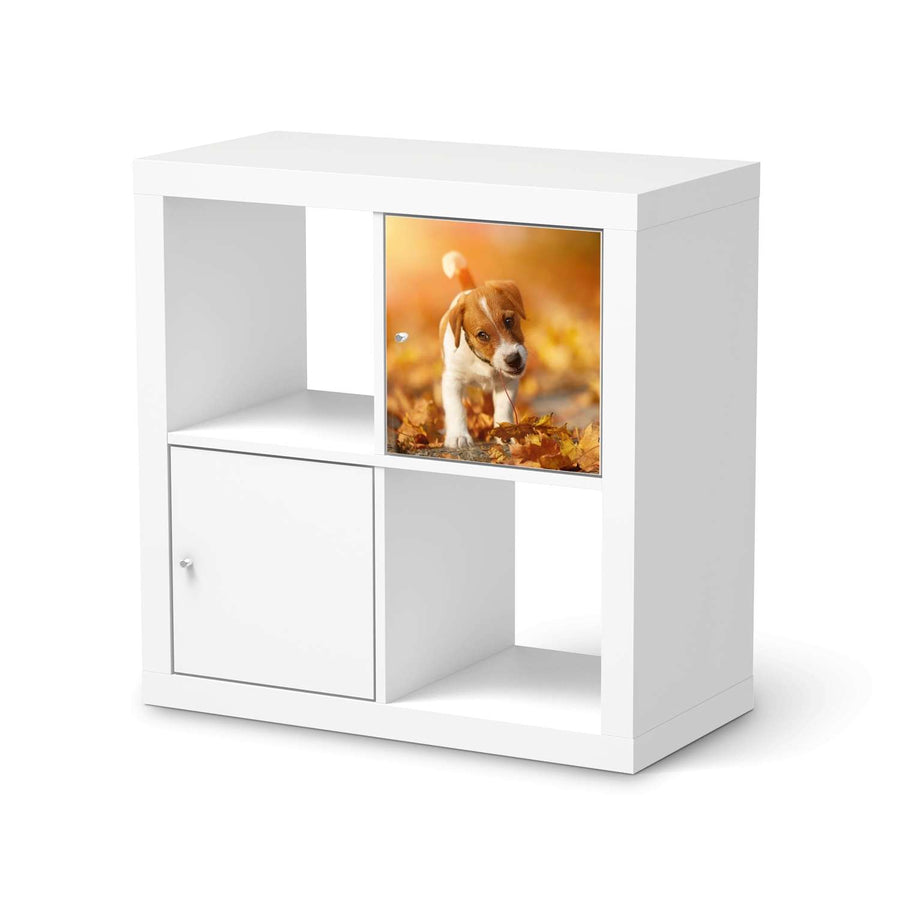 Klebefolie Jack the Puppy - IKEA Expedit Regal Tür einzeln  - weiss