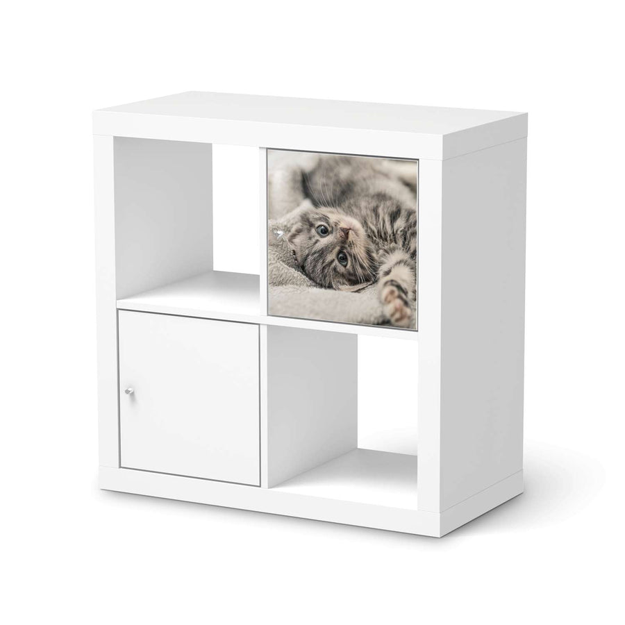 Klebefolie Kitty the Cat - IKEA Expedit Regal Tür einzeln  - weiss