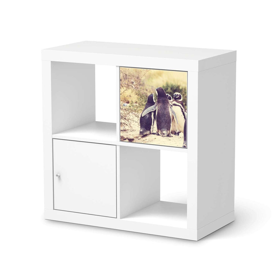 Klebefolie Pingu Friendship - IKEA Expedit Regal Tür einzeln  - weiss