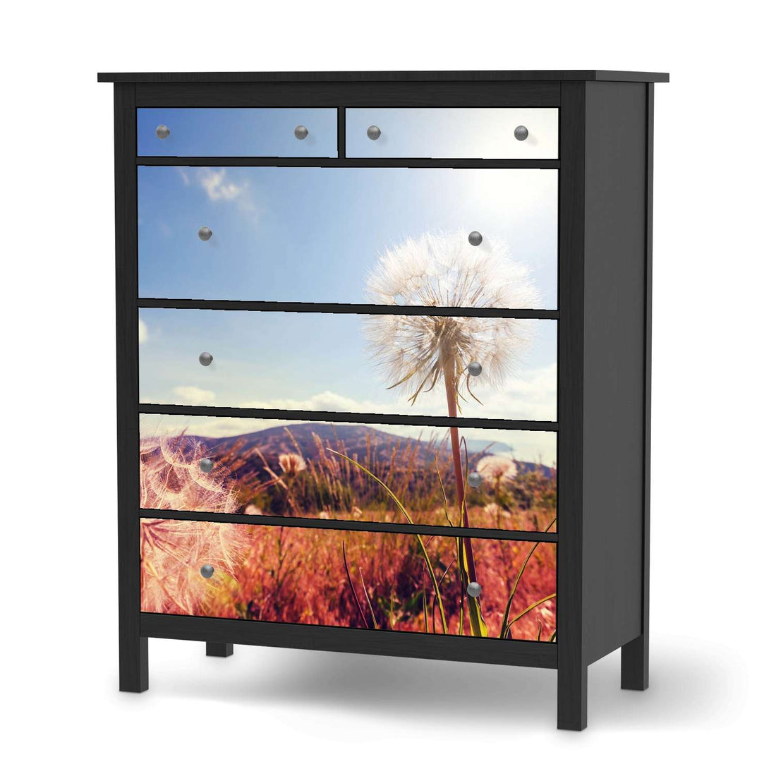 Klebefolie Dandelion - IKEA Hemnes Kommode 6 Schubladen - schwarz