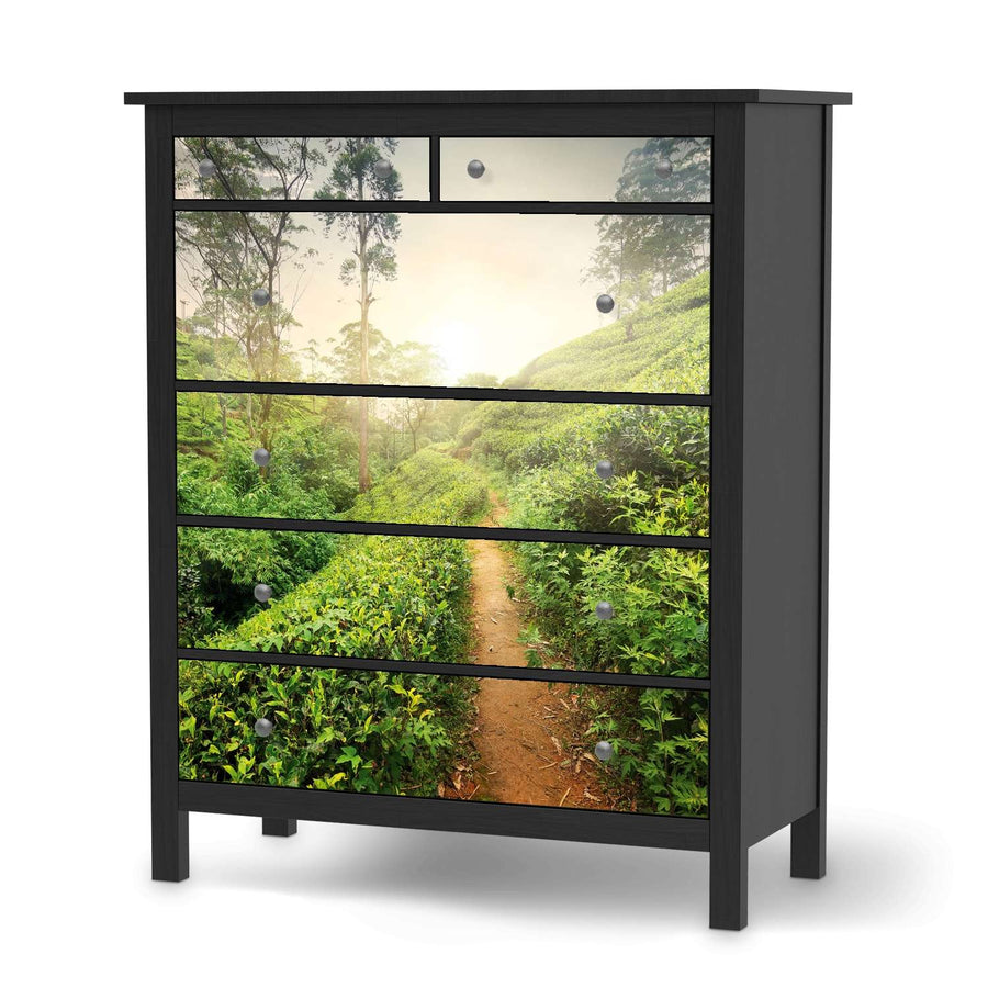 Klebefolie Green Tea Fields - IKEA Hemnes Kommode 6 Schubladen - schwarz