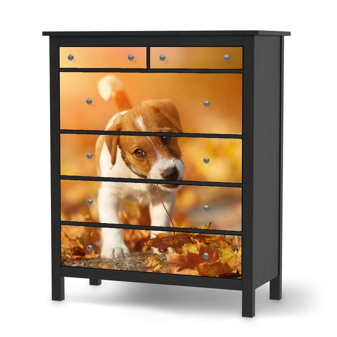 Klebefolie Jack the Puppy - IKEA Hemnes Kommode 6 Schubladen - schwarz