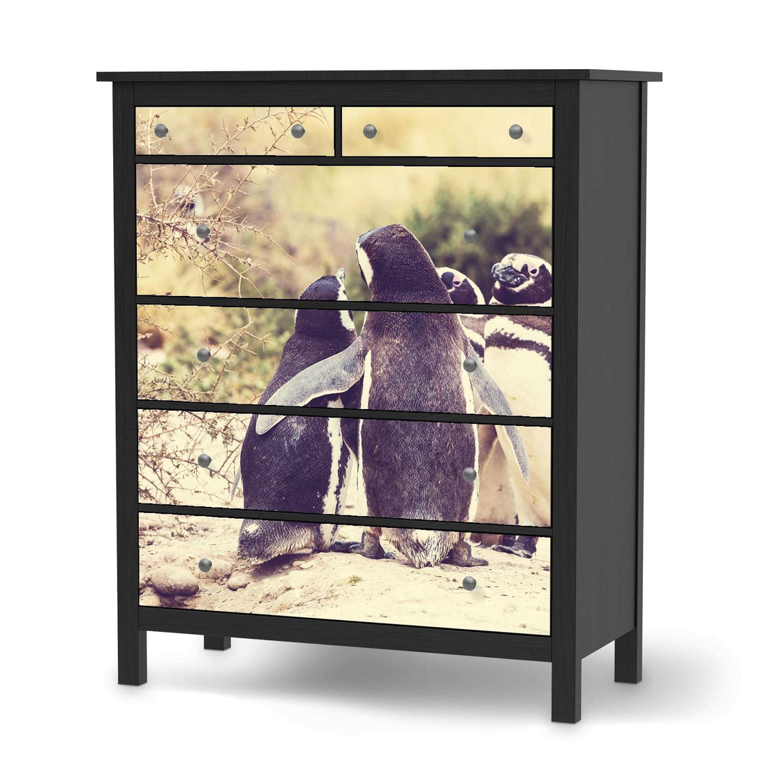 Klebefolie Pingu Friendship - IKEA Hemnes Kommode 6 Schubladen - schwarz