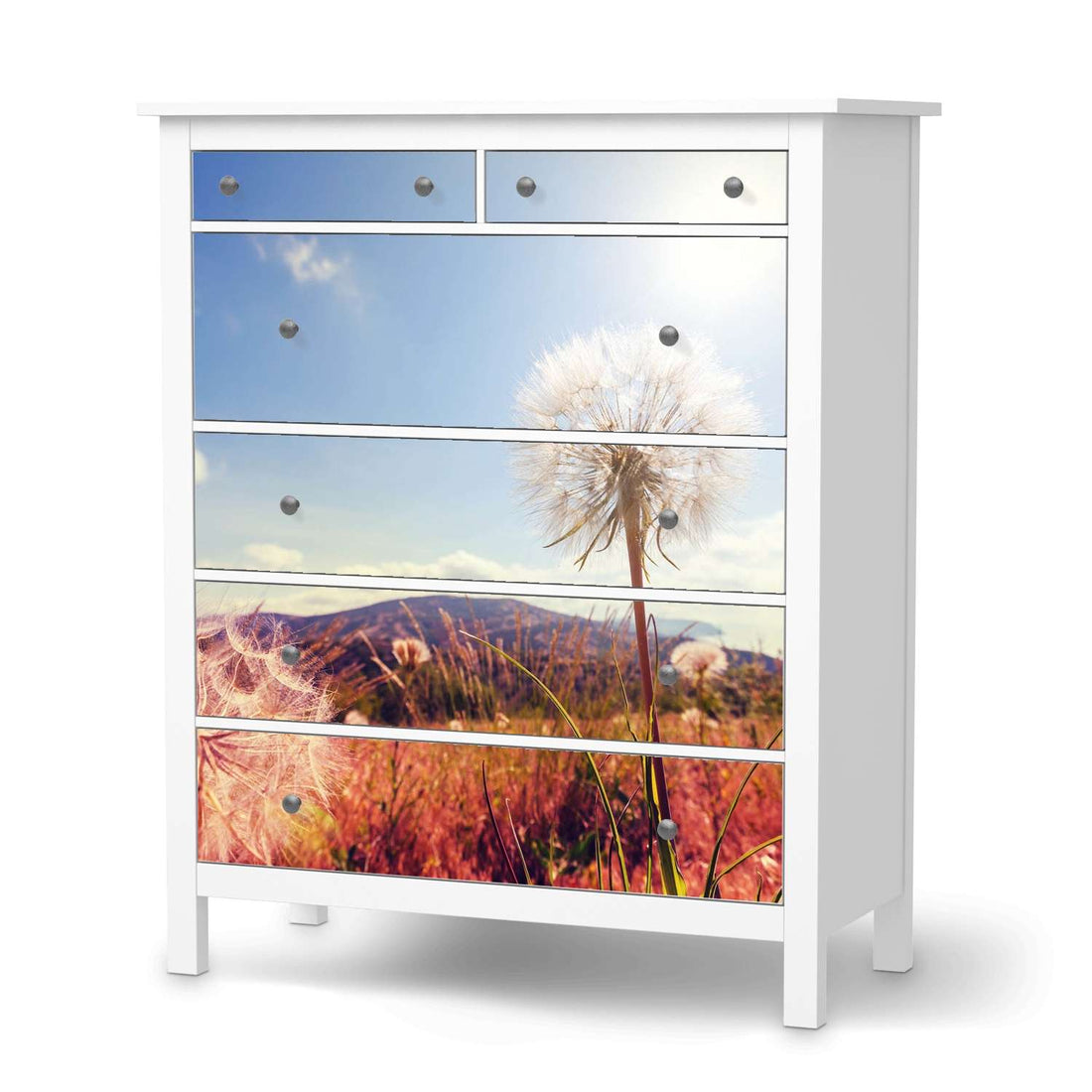 Klebefolie Dandelion - IKEA Hemnes Kommode 6 Schubladen  - weiss