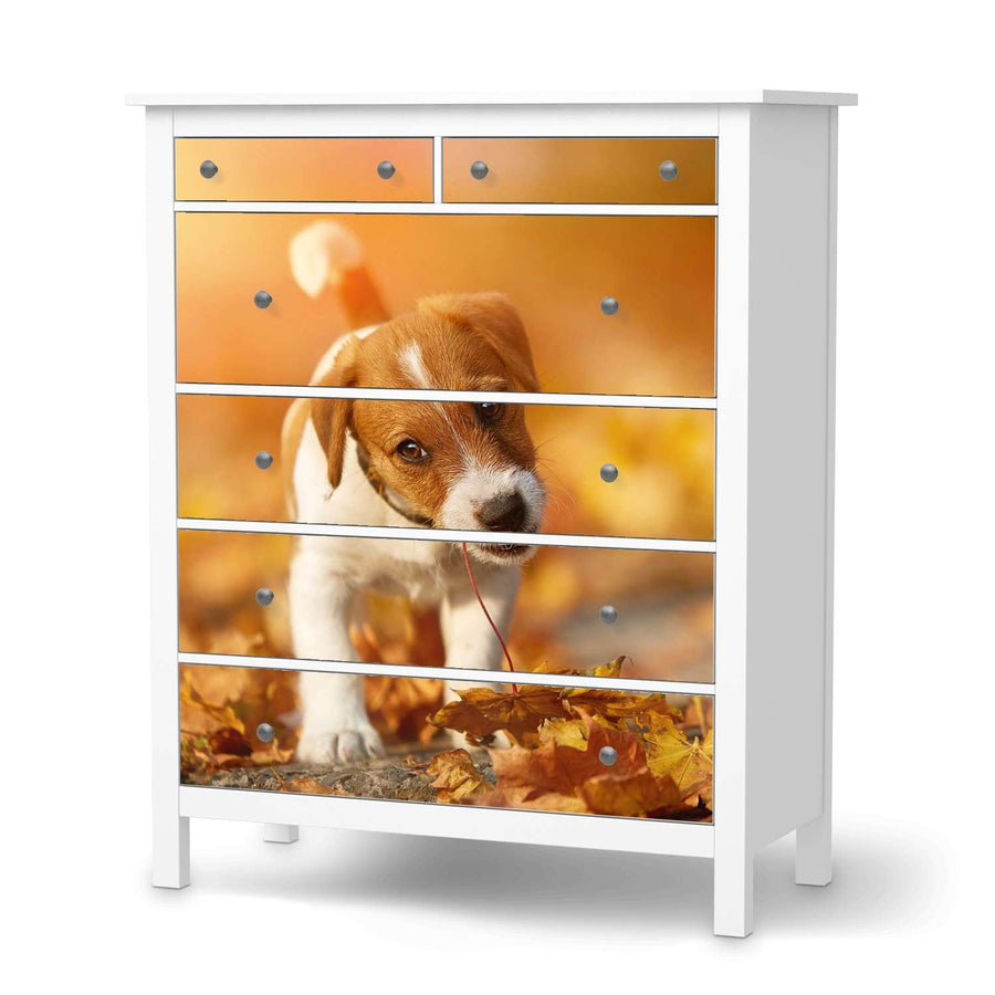 Klebefolie Jack the Puppy - IKEA Hemnes Kommode 6 Schubladen  - weiss