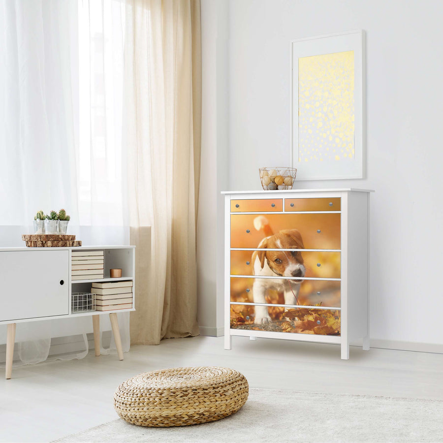 Klebefolie Jack the Puppy - IKEA Hemnes Kommode 6 Schubladen - Wohnzimmer