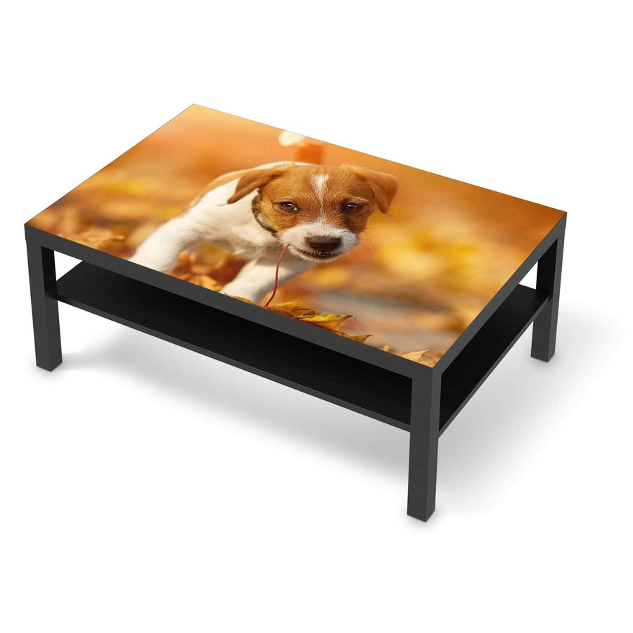 Klebefolie Jack the Puppy - IKEA Lack Tisch 118x78 cm - schwarz