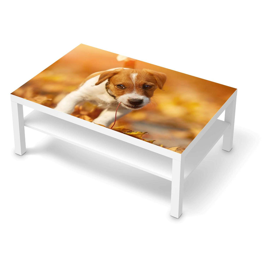 Klebefolie Jack the Puppy - IKEA Lack Tisch 118x78 cm - weiss