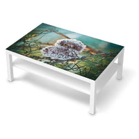 Klebefolie Wuschel - IKEA Lack Tisch 118x78 cm - weiss
