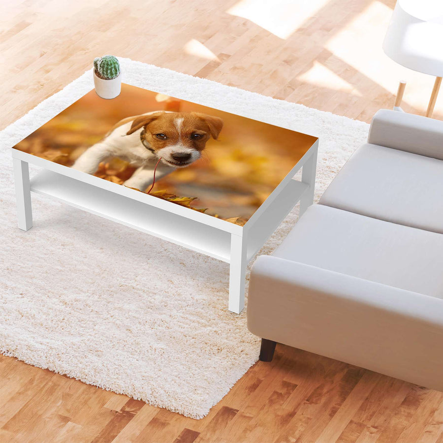 Klebefolie Jack the Puppy - IKEA Lack Tisch 118x78 cm - Wohnzimmer