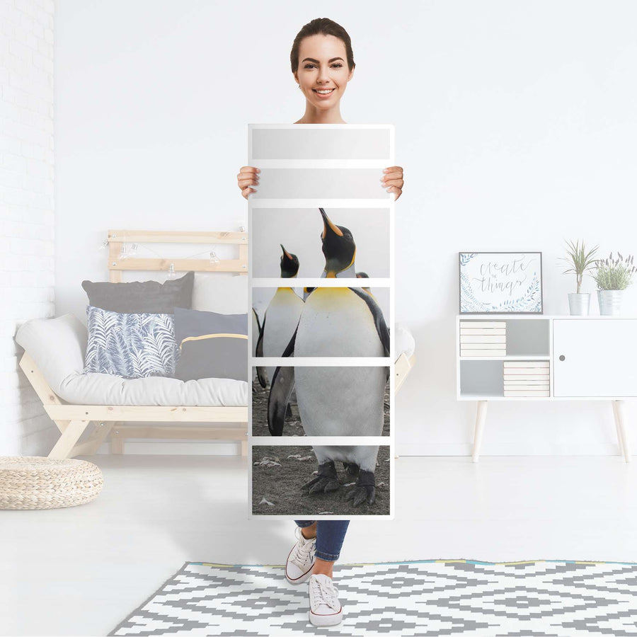 Klebefolie Penguin Family - IKEA Malm Kommode 6 Schubladen (schmal) - Folie