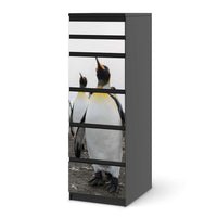 Klebefolie Penguin Family - IKEA Malm Kommode 6 Schubladen (schmal) - schwarz
