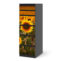 Klebefolie Sunflowers - IKEA Malm Kommode 6 Schubladen (schmal) - schwarz