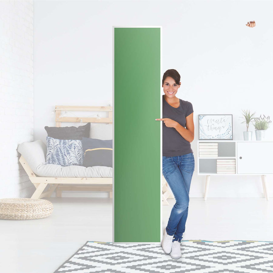 Klebefolie Grün Light - IKEA Pax Schrank 236 cm Höhe - 1 Tür - Folie