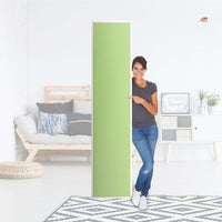 Klebefolie Hellgrün Light - IKEA Pax Schrank 236 cm Höhe - 1 Tür - Folie