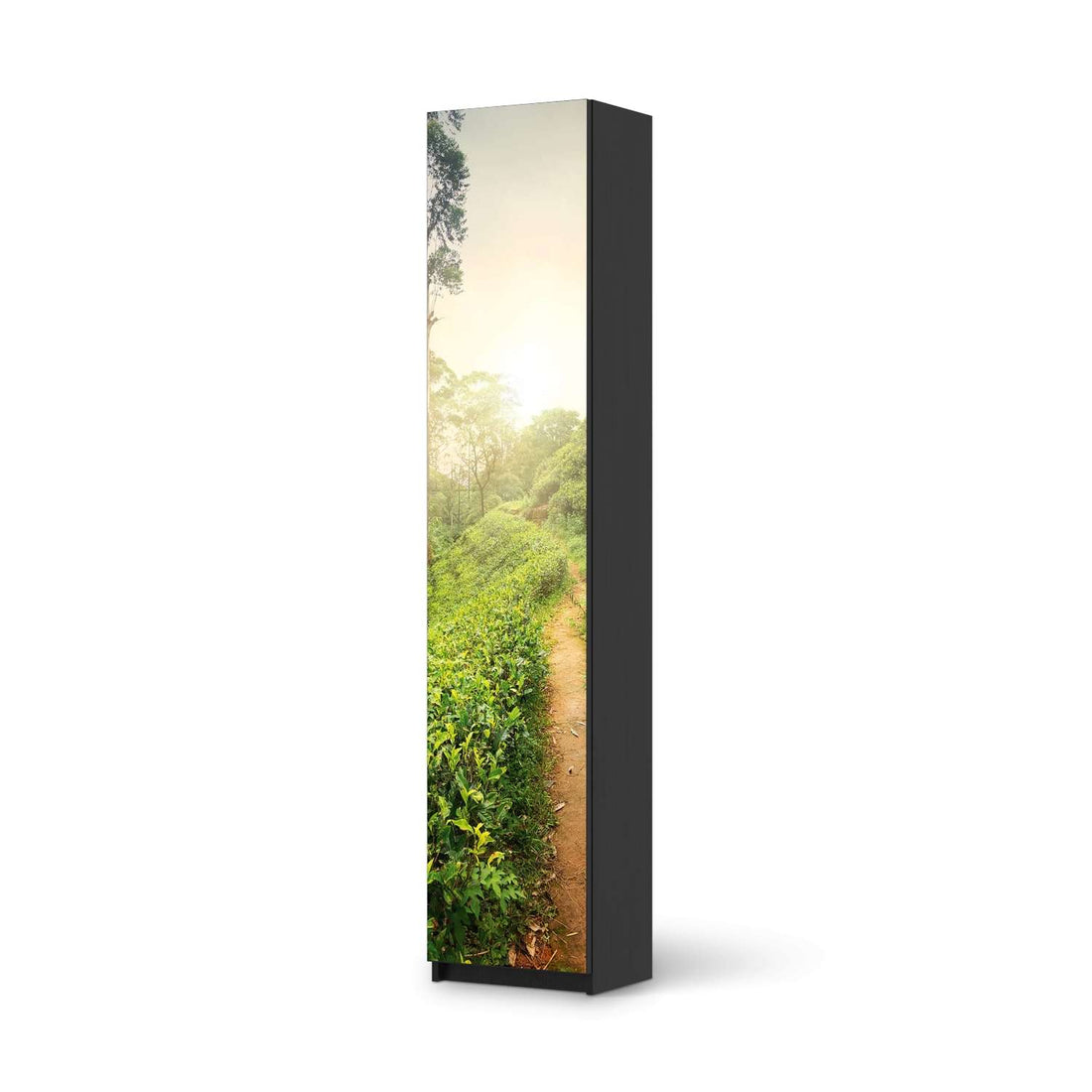 Klebefolie Green Tea Fields - IKEA Pax Schrank 236 cm Höhe - 1 Tür - schwarz