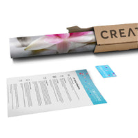 Klebefolie Flower Buddha - Paket - creatisto pds2