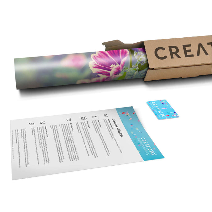 Klebefolie Flower Gaze - Paket - creatisto pds2