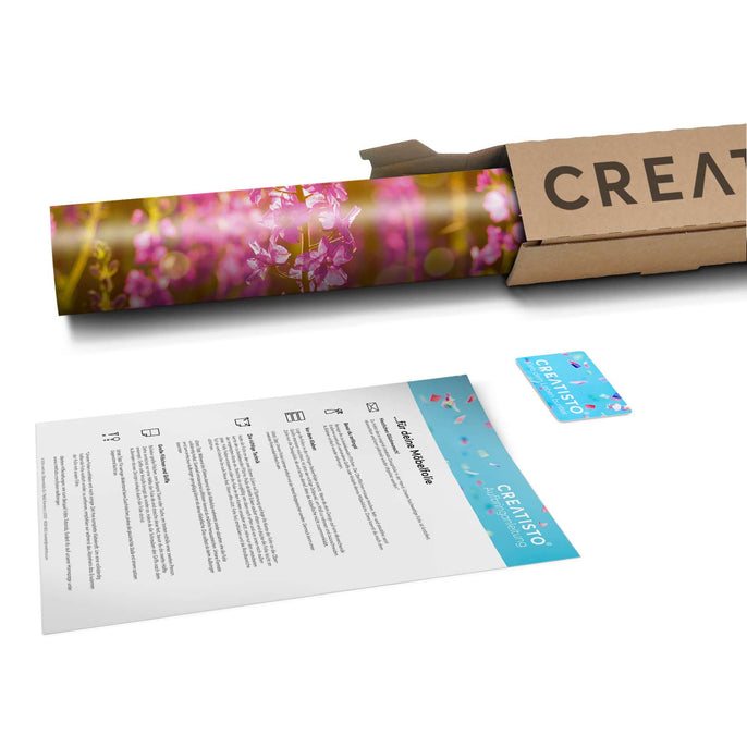 Klebefolie Flower Meadow - Paket - creatisto pds2